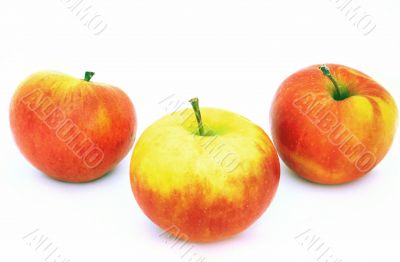 isolated apples