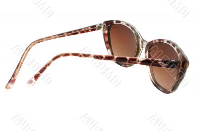 sunglasses - isolated