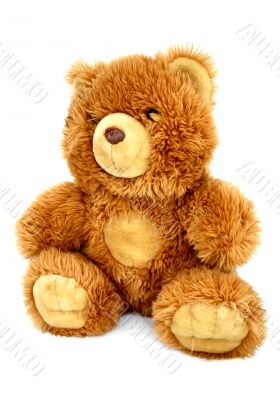 teddy bear