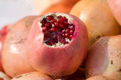 Pomegranate