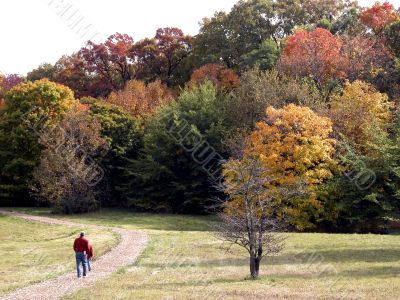 walking in autumn