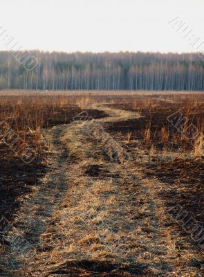Burned path