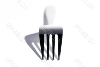 Fork