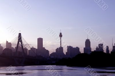 Anzac Bridge In Evening Light