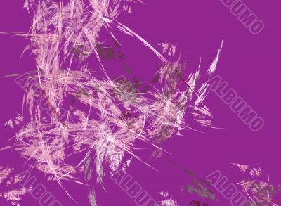 pink feathers fractal