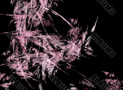 pink feathers fractal