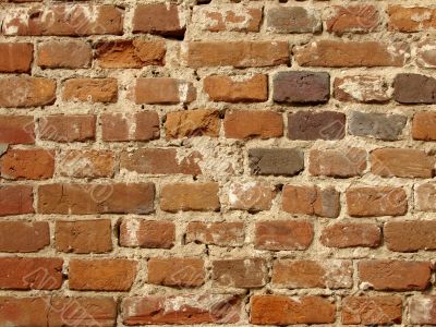 old brickwall 3