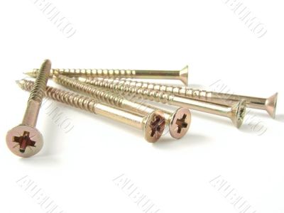 screws 6