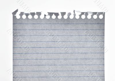 Blank Paper