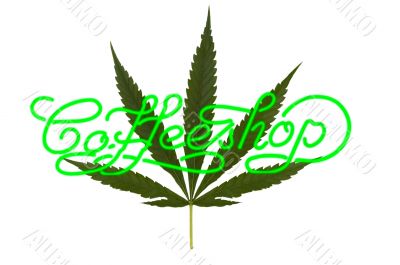 marihuana and coffeeshop
