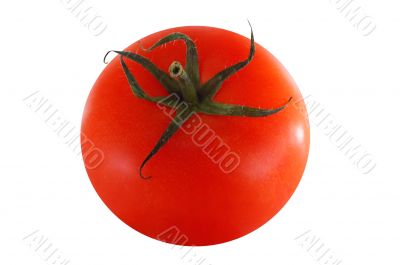 isolated red tomato