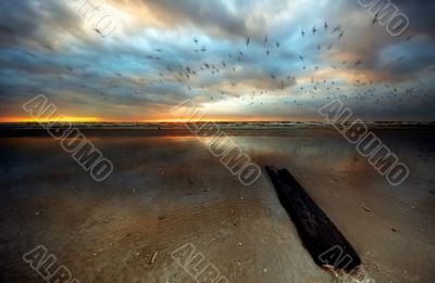 beach at night