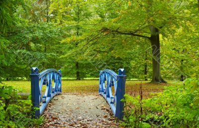 autumn in the park