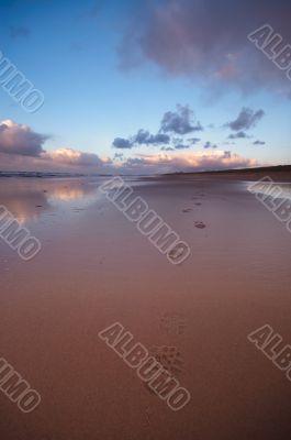 footsteps in the sand