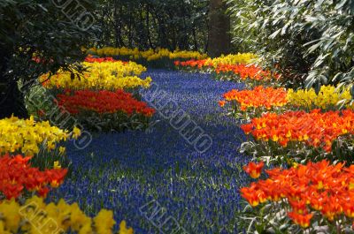 colorful flower garden in spring