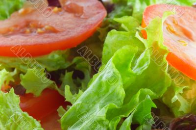 green salad