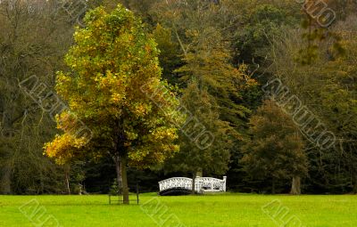 autumn in the park