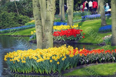 colorful flower garden