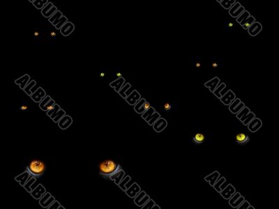 big cats eyes in the dark