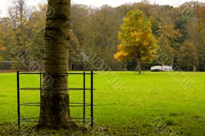autumn in the park