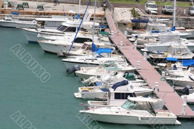 Tied up Yachts