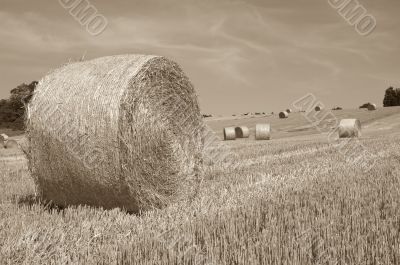 Hay bales