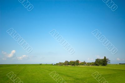 summer landscdape