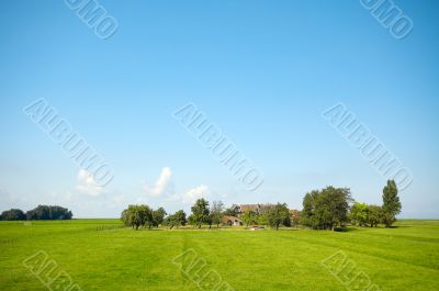 summer landscape