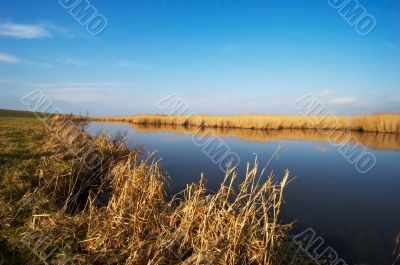 river reflections