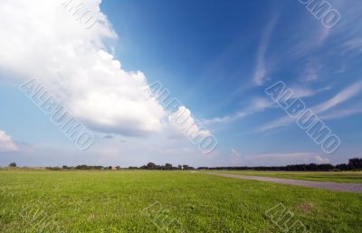 grass and blue sky background