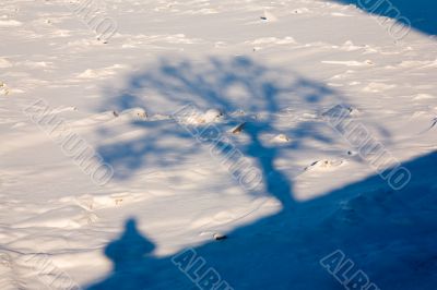 Self-portrait of the photographer