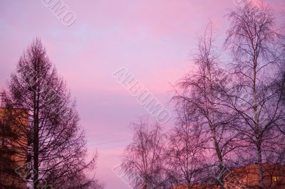 Sunset in purple tones