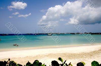 Beach Scene