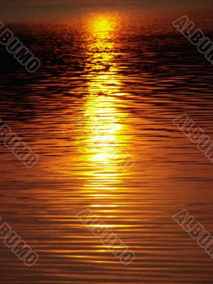 golden water 1