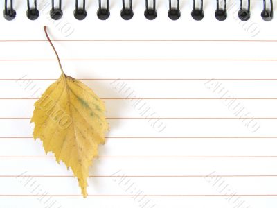 notepad with yellow leaf