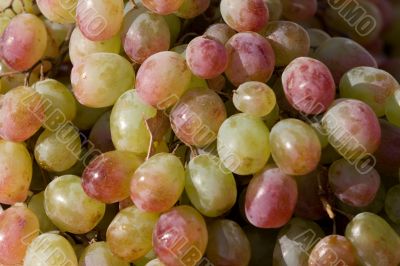 Grape