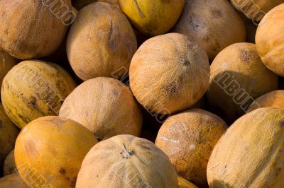 Melons