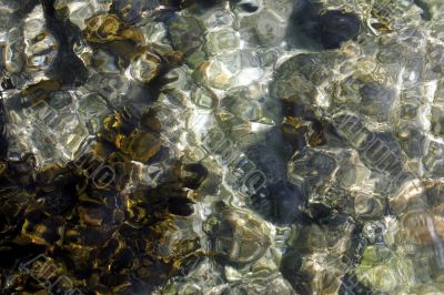 Ocean Surface