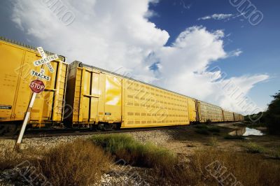 Train at the Crossing