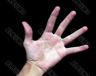 Hand