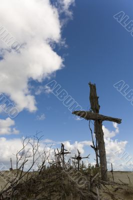 Seaside Baltic  - a dune