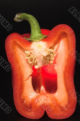 Red Bell Pepper
