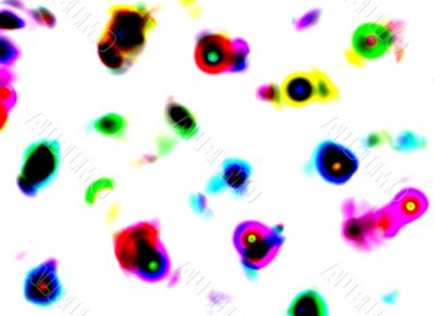 abstract coloured amoeba