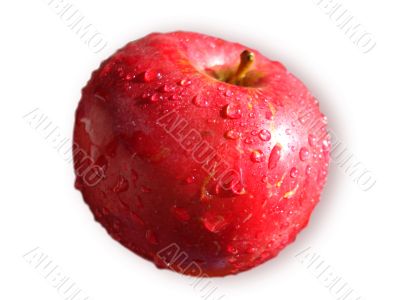 Big red apple