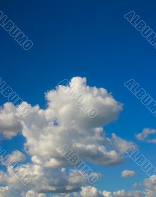 bright sky #3 - vertical view
