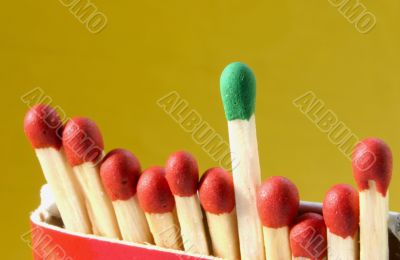 group leader