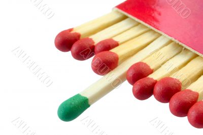 concept of group leader