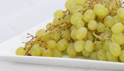 Grapes