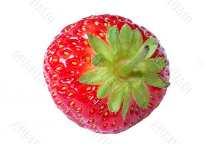 strawberry against white background