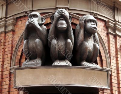 Three Monkeys